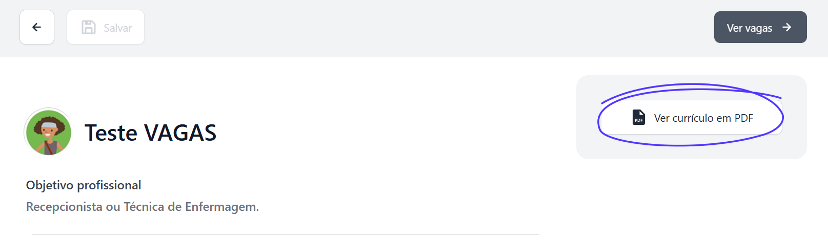 Ver currículo em PDF